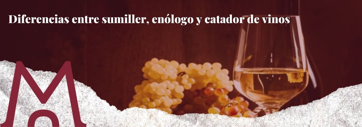 Portada blog diferencias entre sumiller, enólogo y catador de vinos