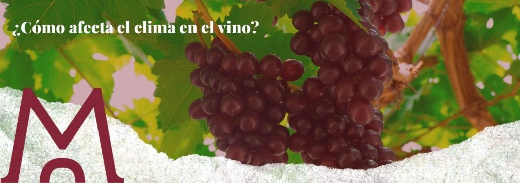 portada blog cómo afecta el clima en el vino