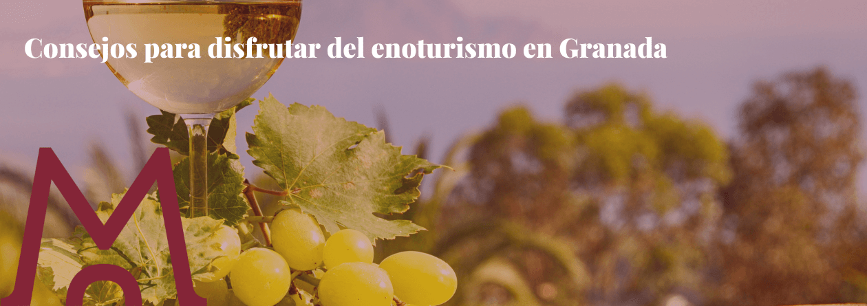 Enoturismo en Granada