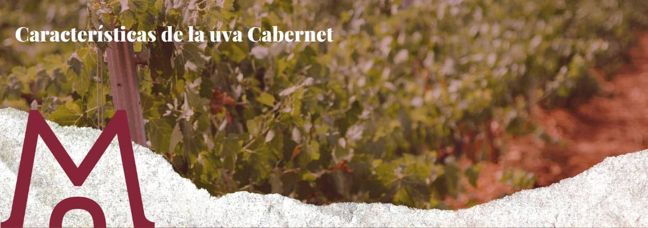 portada blog Características de la uva Cabernet