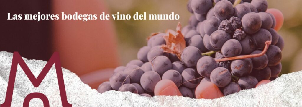 portada blog Las mejores bodegas de vino del mundo