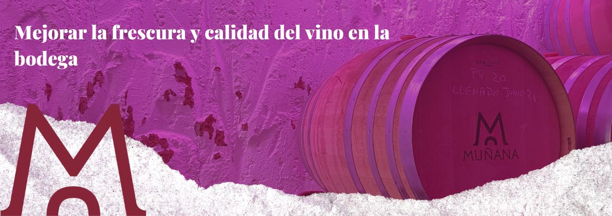 Portada blog para cómo mejorar la frescura y calidad del vino en la bodega