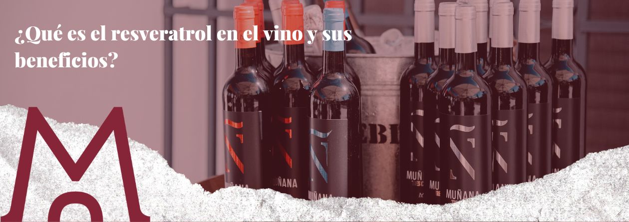 portada blog ¿Qué es el resveratrol en el vino y sus beneficios?