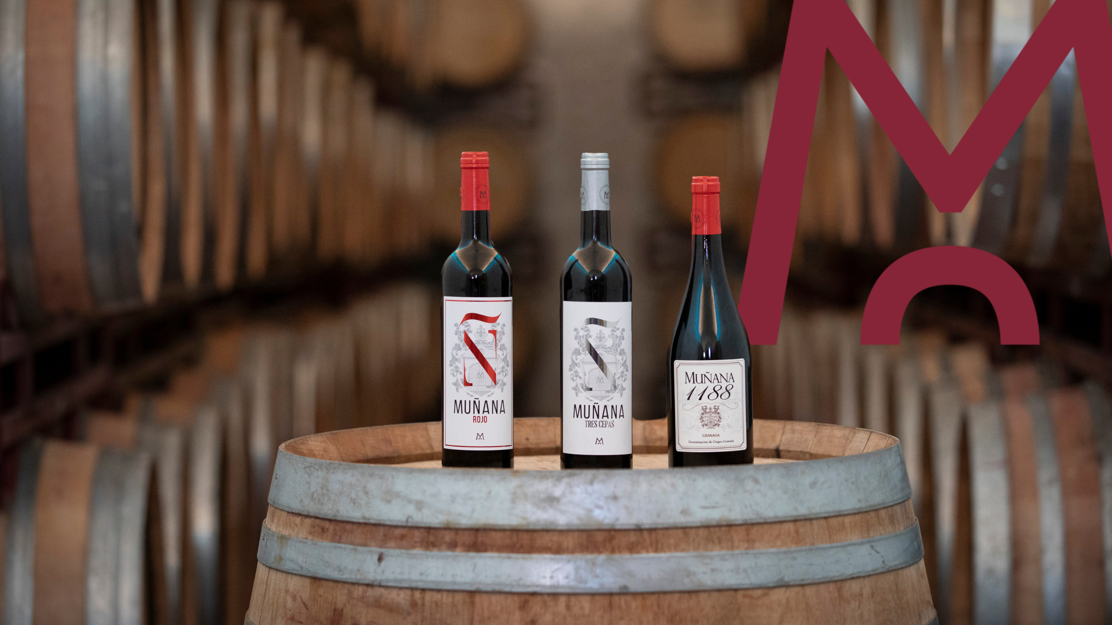 fases de una cata de vinos