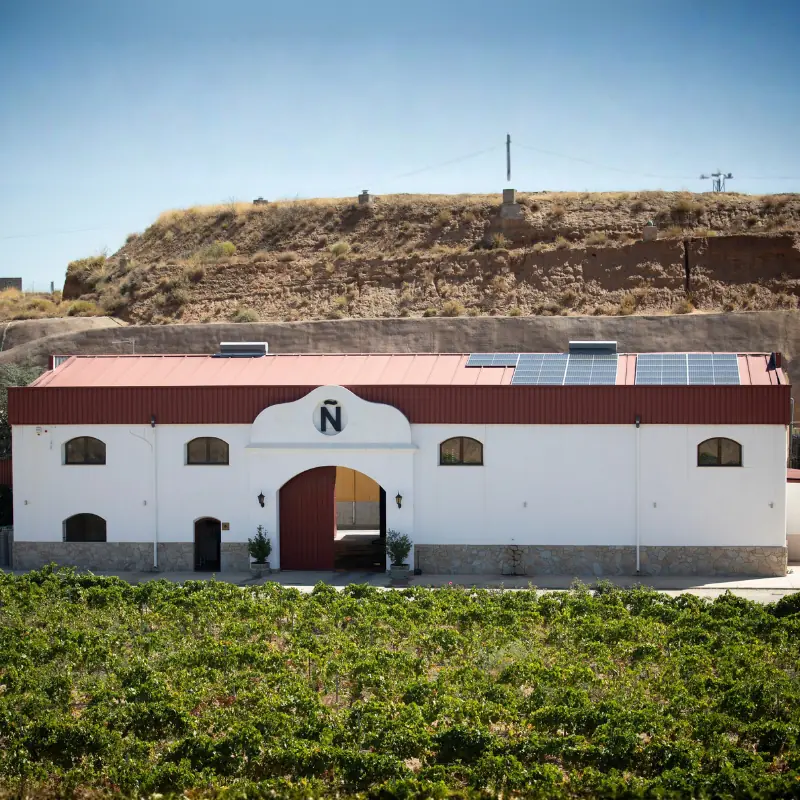 vinos de Granada