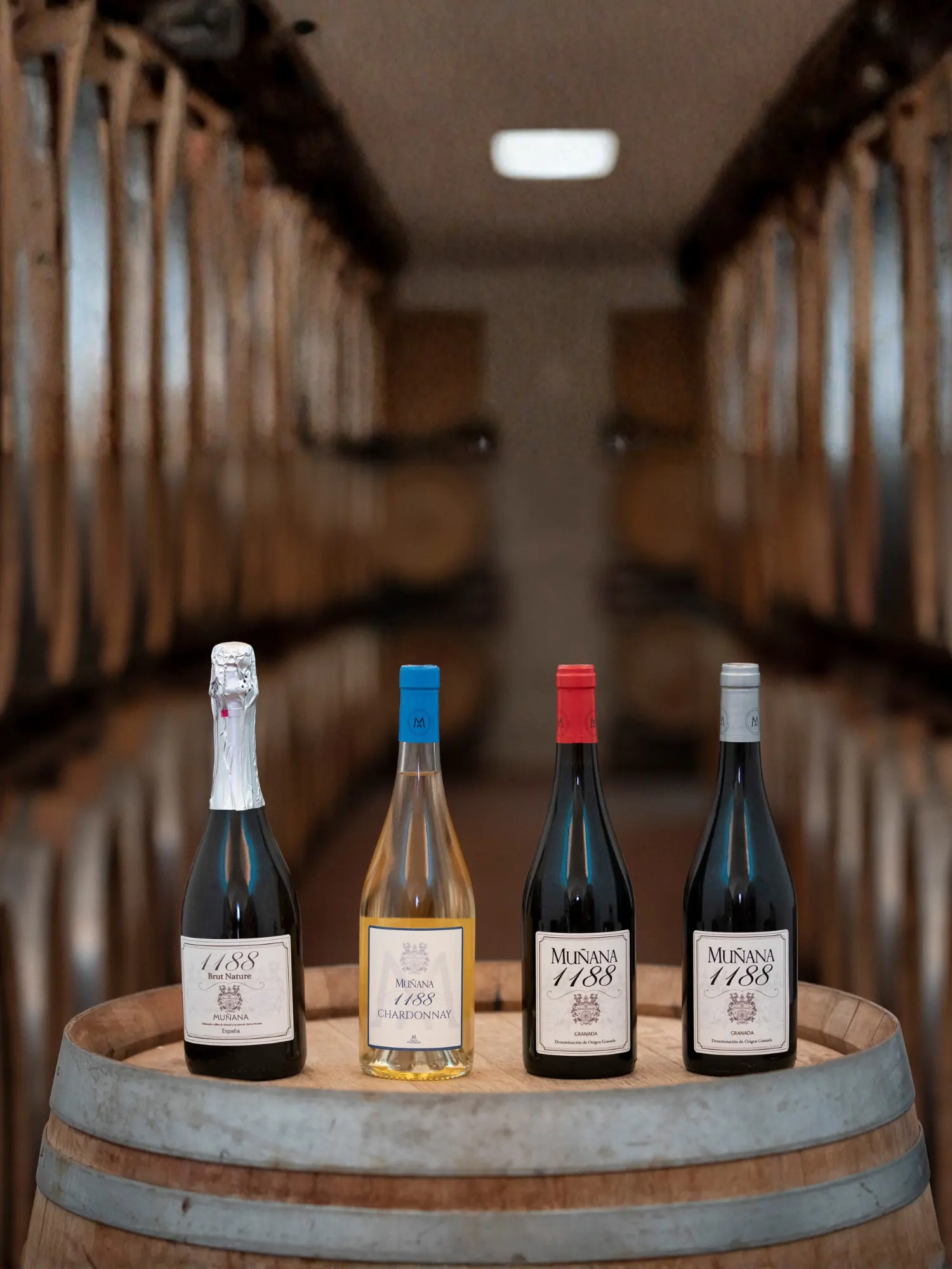 vino de granada muñana 1188