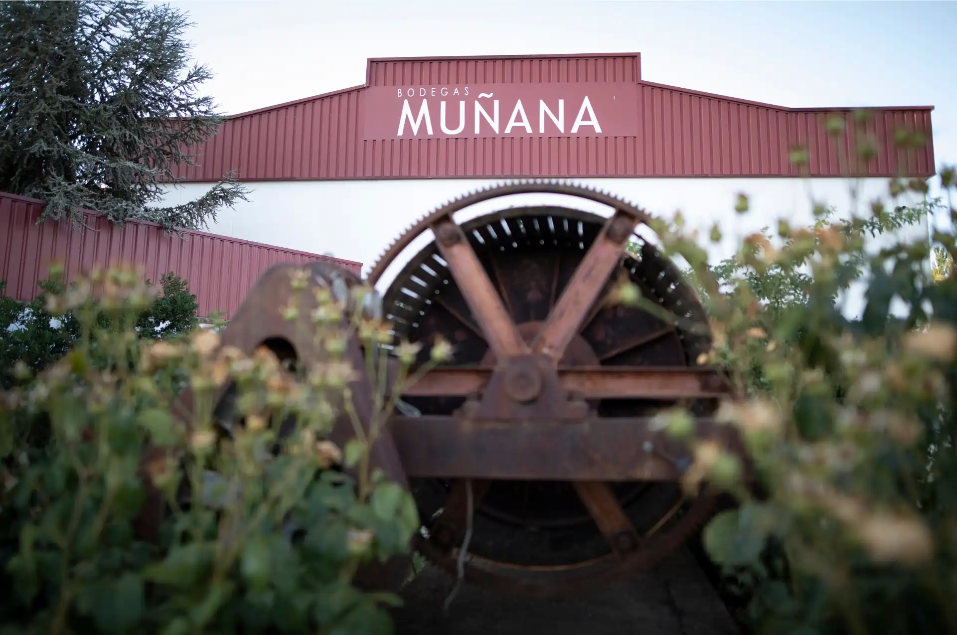 noria-bodega-munana